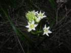 muirwoods073_small.jpg