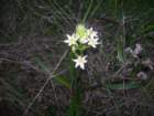 muirwoods074_small.jpg