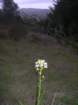 muirwoods076_small.jpg