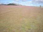 photo104_small.jpg