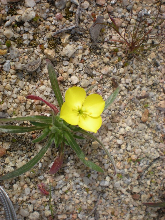 photo11.jpg