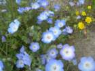photo114_small.jpg