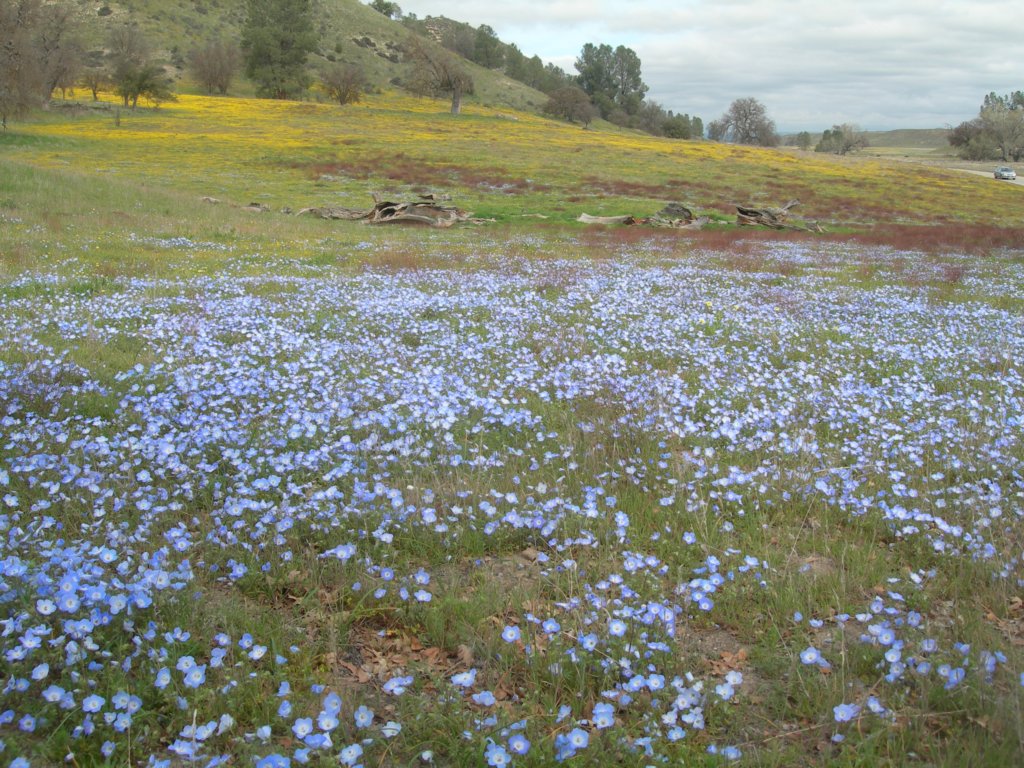 photo120.jpg