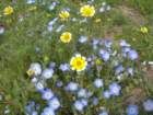 photo121_small.jpg