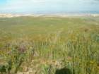 photo127_small.jpg
