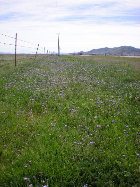 photo17.jpg