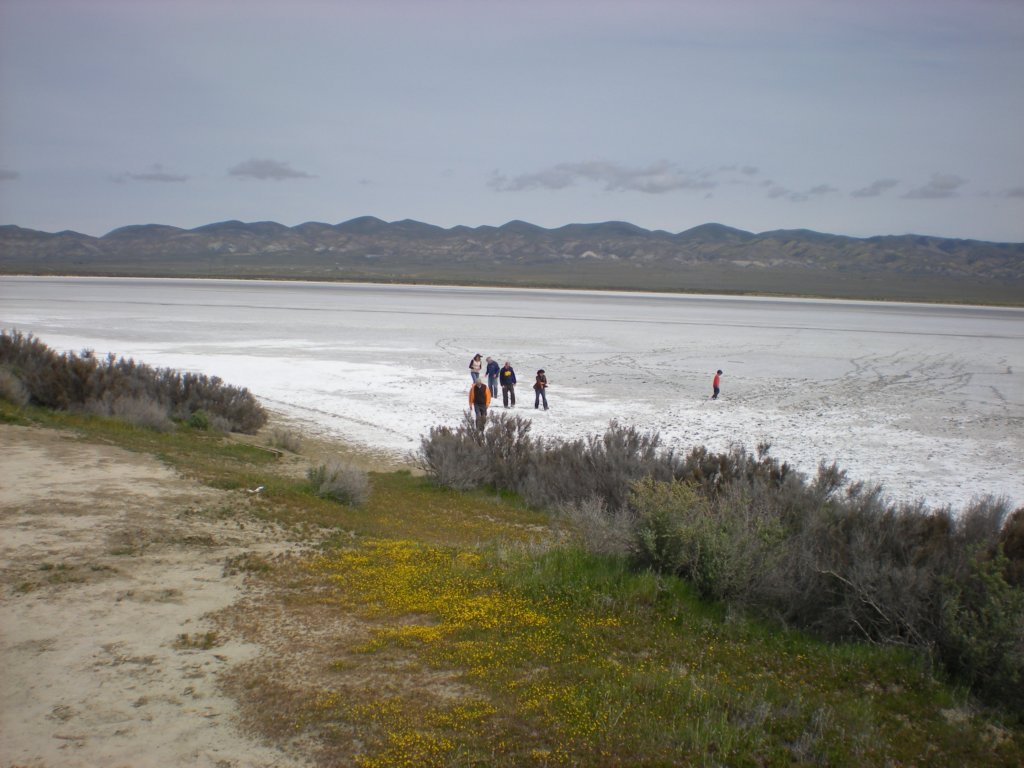 photo26.jpg