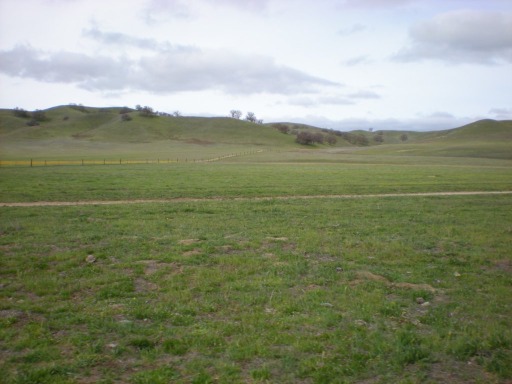 photo3.jpg