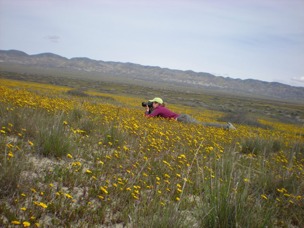 photo31.jpg