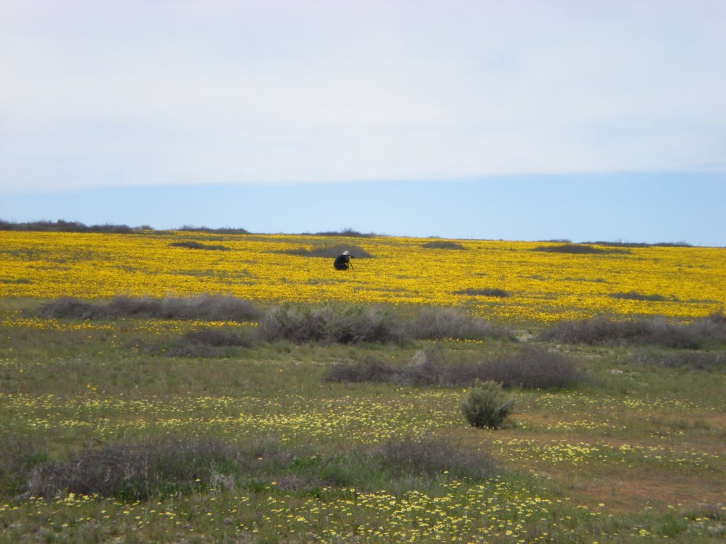 photo36.jpg