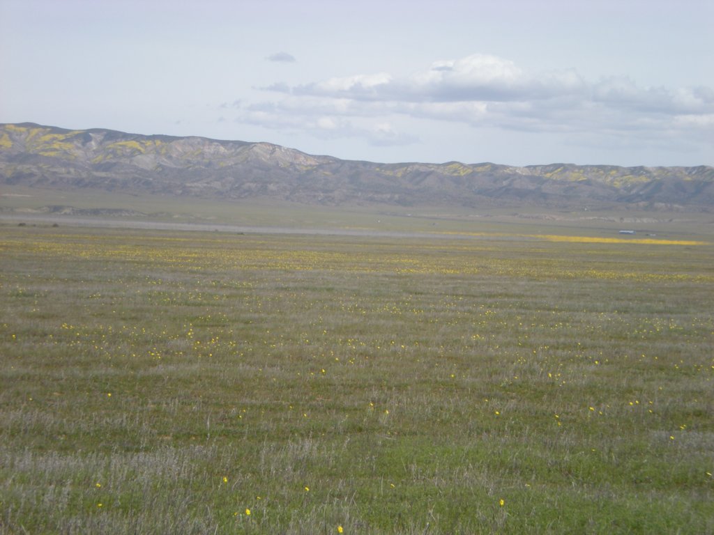 photo38.jpg