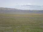 photo38_small.jpg