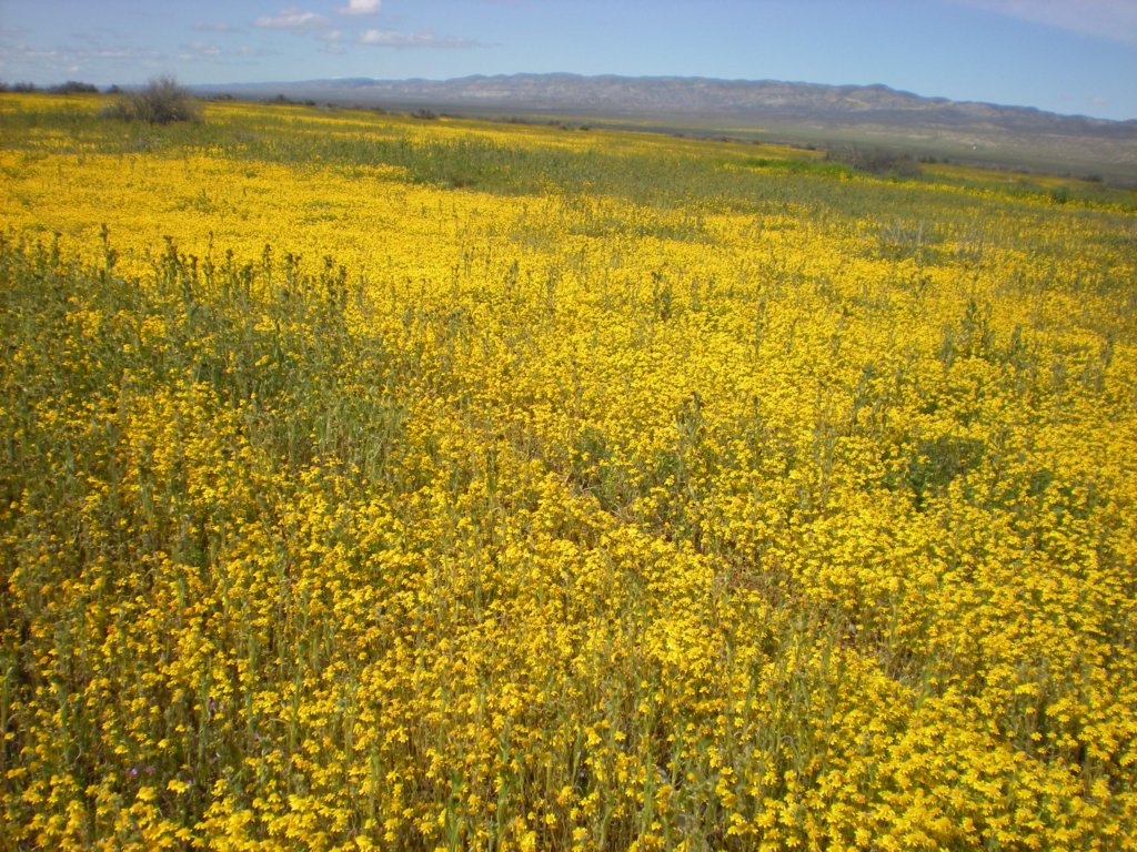 photo48.jpg