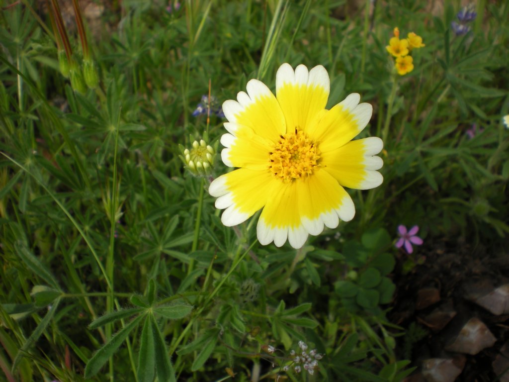 photo6.jpg