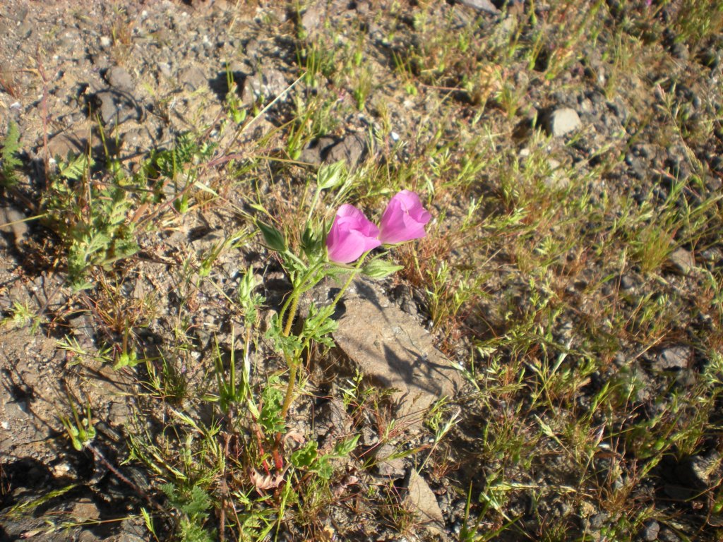 photo65.jpg