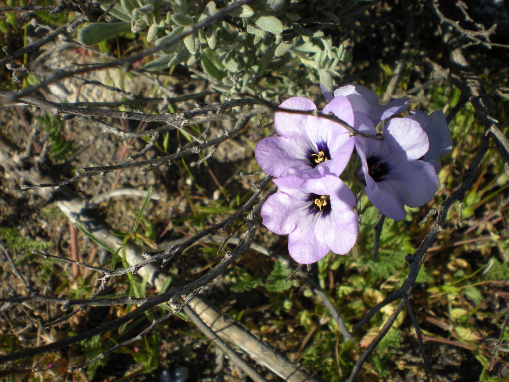 photo67.jpg