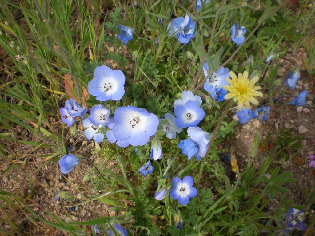 photo7.jpg
