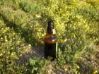 photo71_small.jpg
