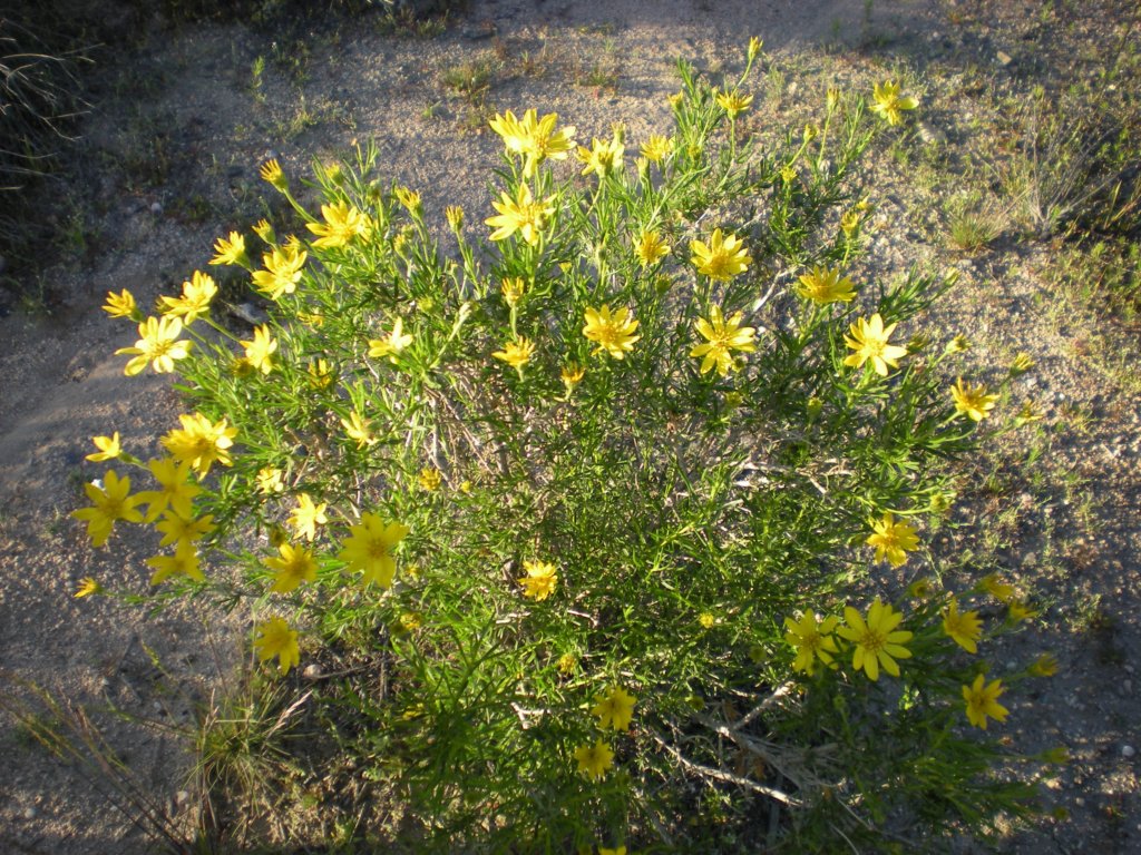 photo73.jpg