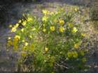photo73_small.jpg