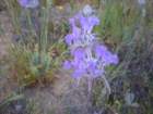 photo74_small.jpg