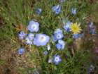 photo7_small.jpg