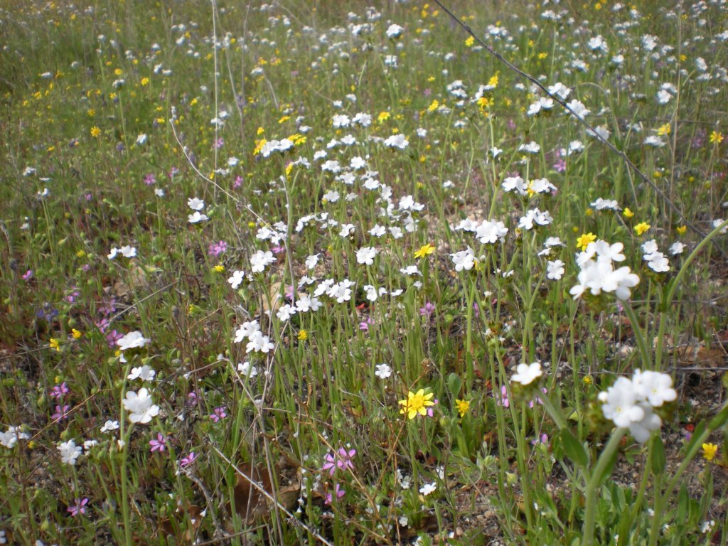 photo8.jpg
