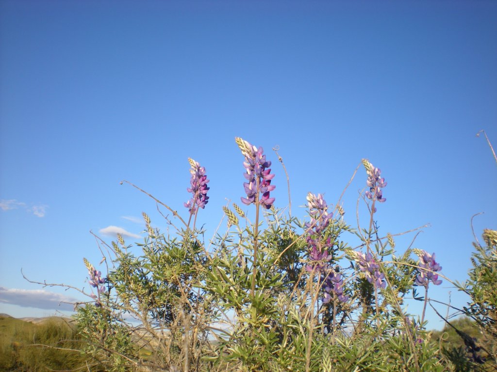 photo81.jpg