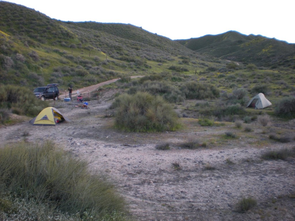 photo87.jpg