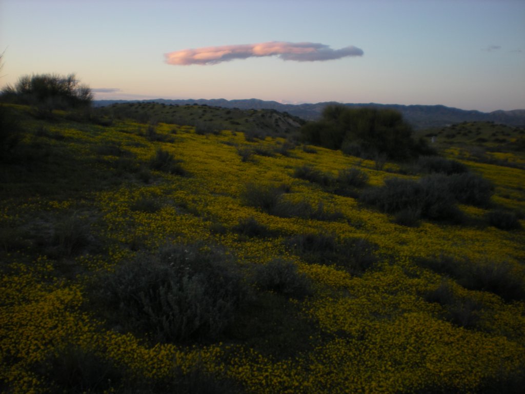 photo89.jpg