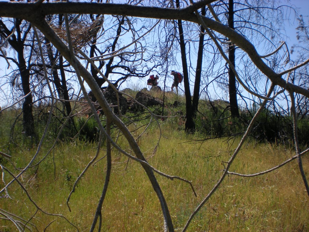 photo.jpg