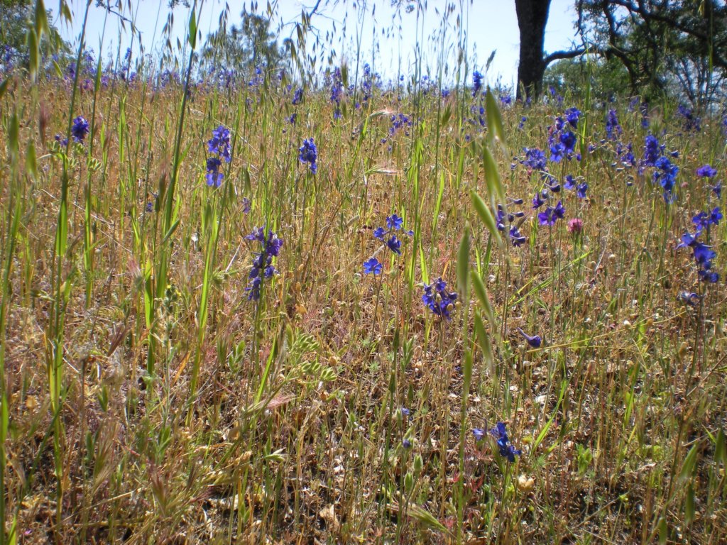 photo11.jpg