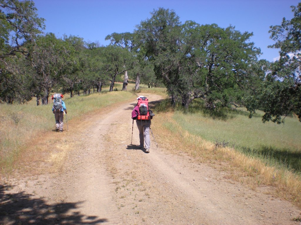 photo16.jpg