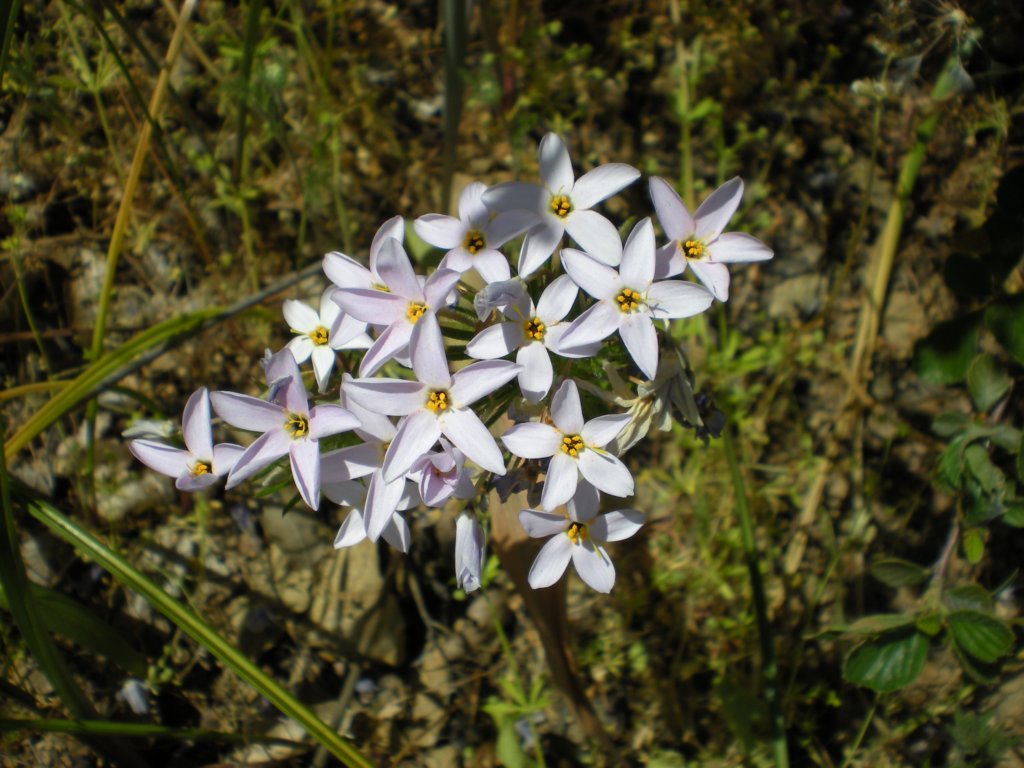 photo21.jpg