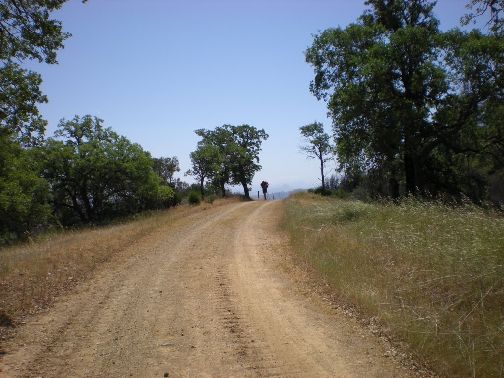 photo24.jpg
