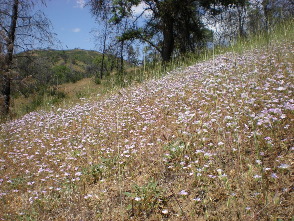 photo27.jpg