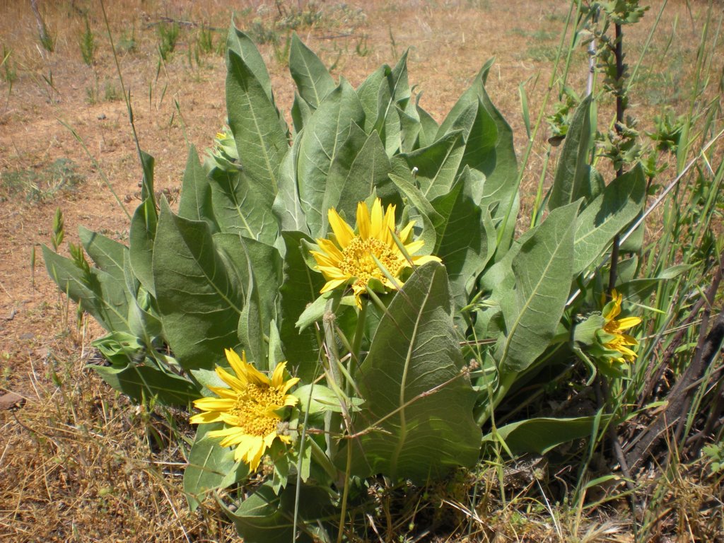 photo29.jpg