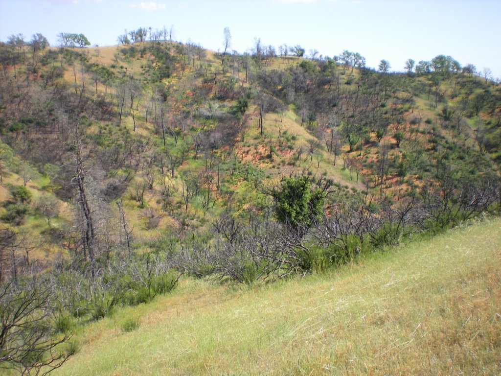 photo37.jpg