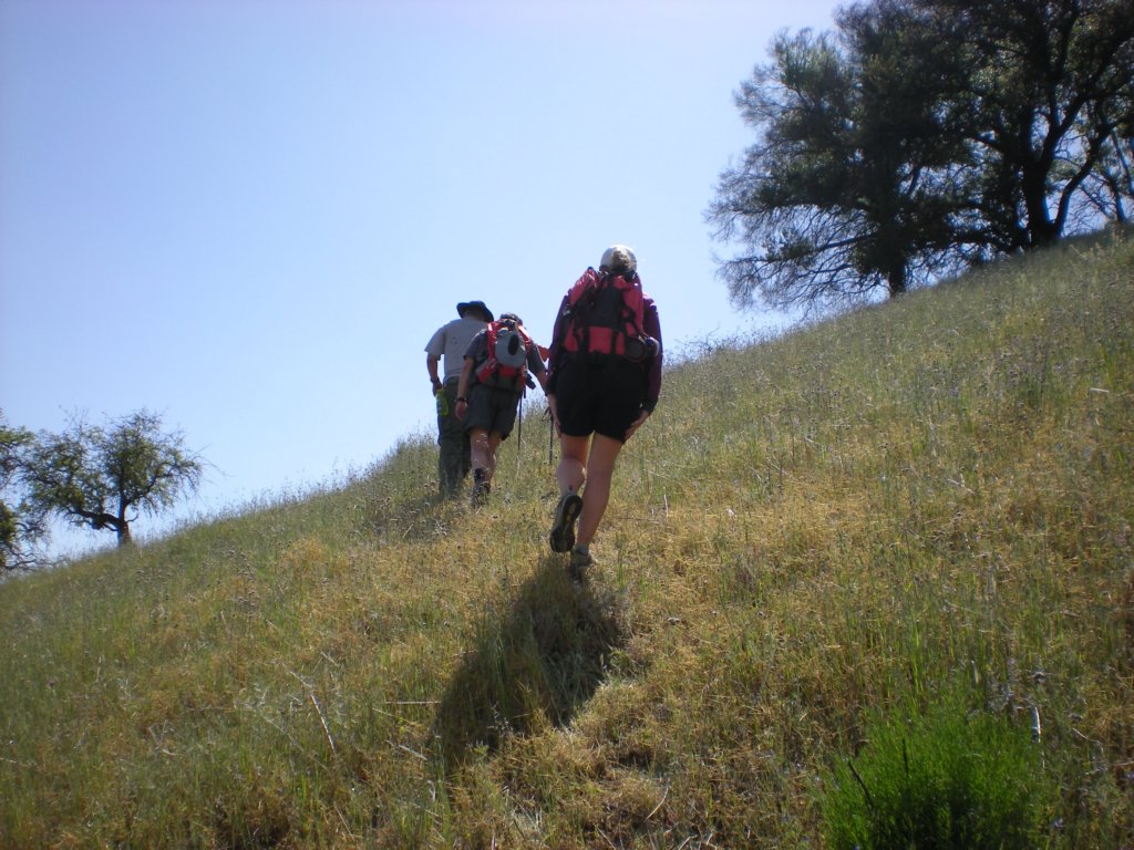 photo38.jpg