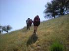 photo38_small.jpg