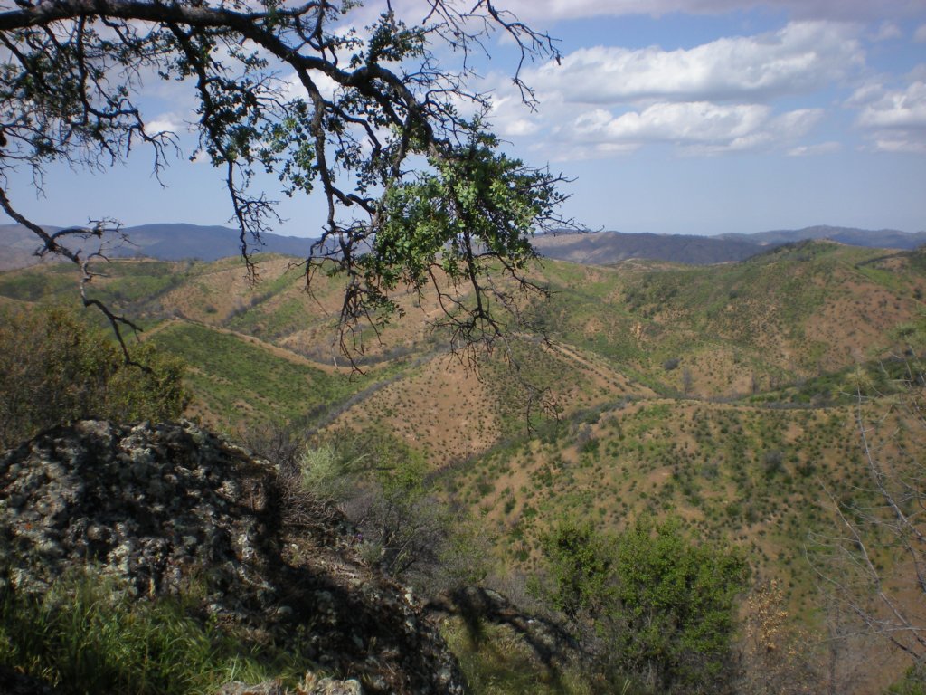 photo42.jpg