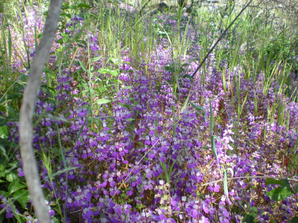 photo5.jpg