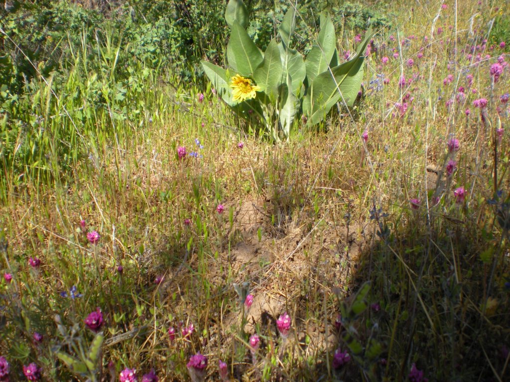 photo52.jpg