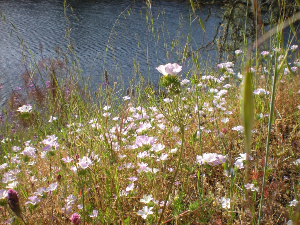 photo65.jpg