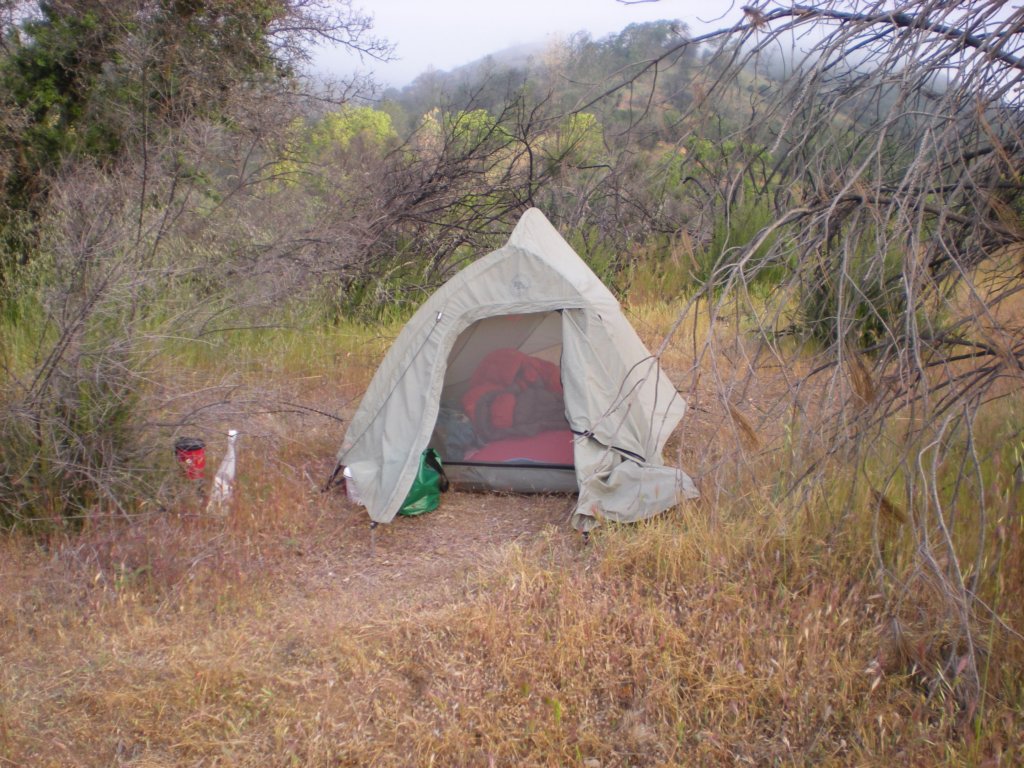 photo74.jpg