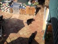 dscn0428_small.jpg