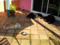dscn0435_small.jpg