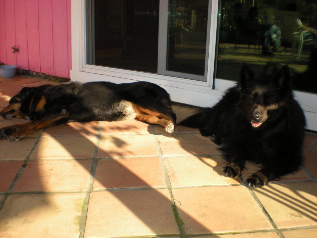 dscn0437.jpg