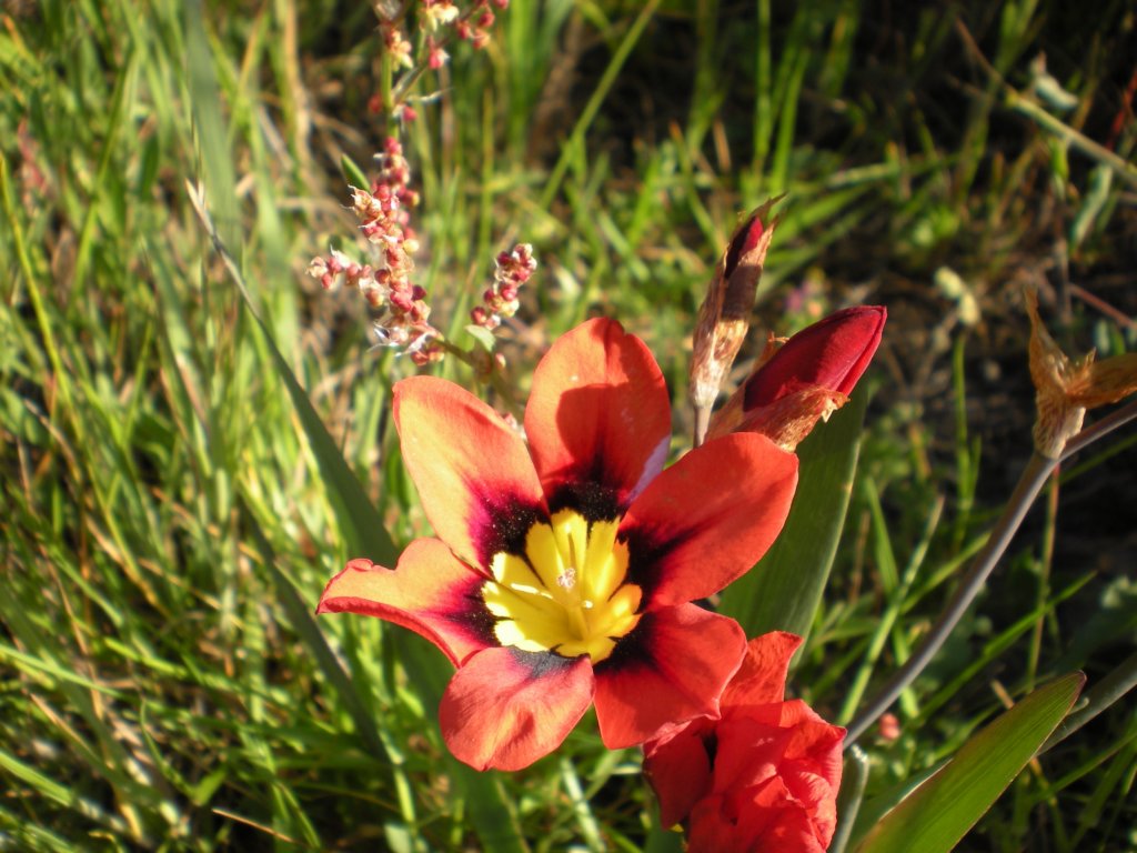 dscn0454.jpg