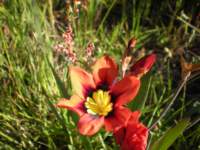 dscn0454_small.jpg